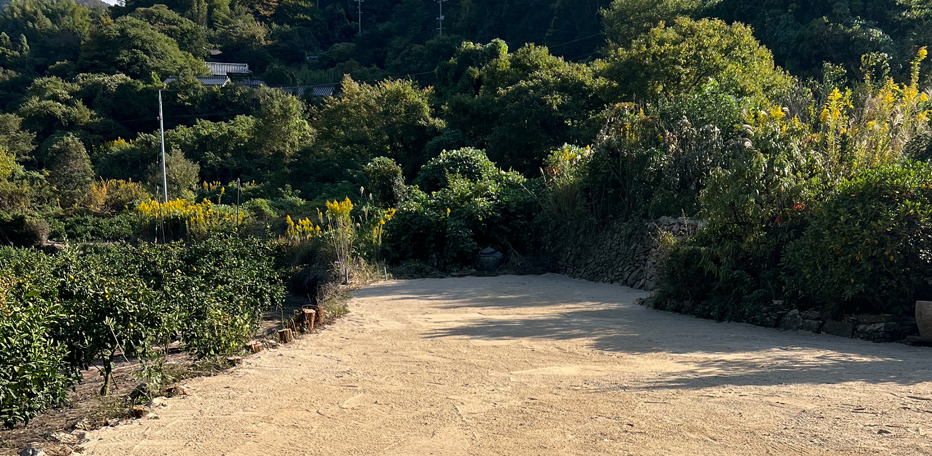 解体から新たな未来を創造する